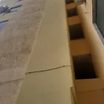 Pine 2 1 * Golem (Tirana)