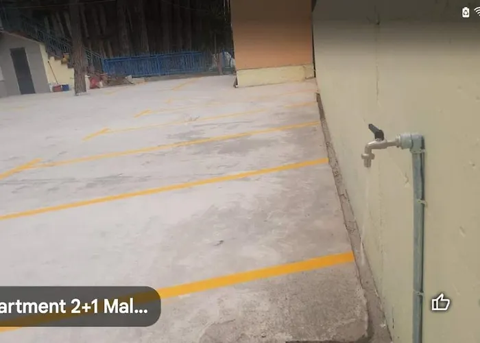 Pine 2 1 * ゴーレム