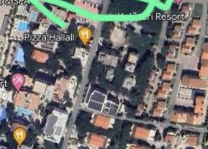 Pine 2 1 ゴーレム