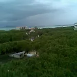 Pine 2 1 Apartamento