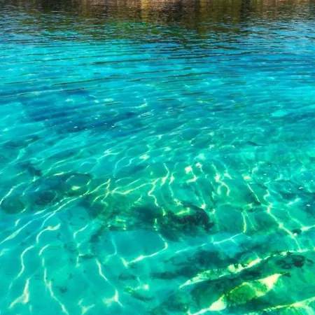 Pine 2 1 Apartament Golem (Tirana)