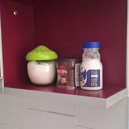 Pine 2 1 Appartement