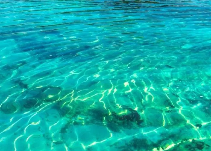 Pine 2 1 公寓 格勒姆