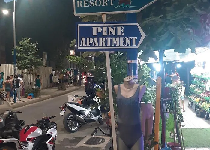 Appartement Pine 2 1