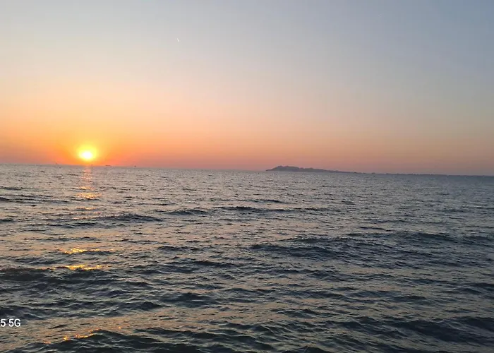 Pine 2 1 * Golem (Tirana)